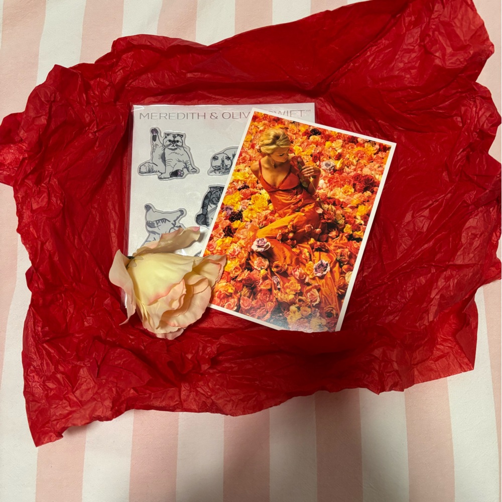 Taylor Swift Our Song Music Video Prop Flower with Valentine Postcard
